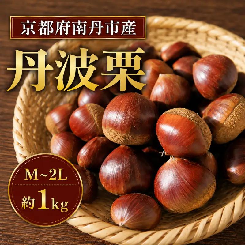 【丹波栗】 1kg M~2Lサイズ混合 栗 生栗