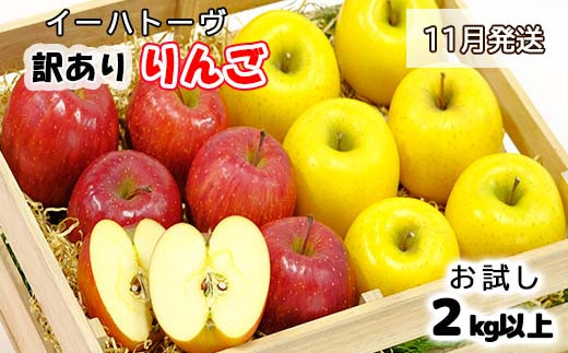 イーハトーヴ 訳あり りんご お試し（ 2kg以上）セット《11月より発送予定/予約受付》 【005-11】