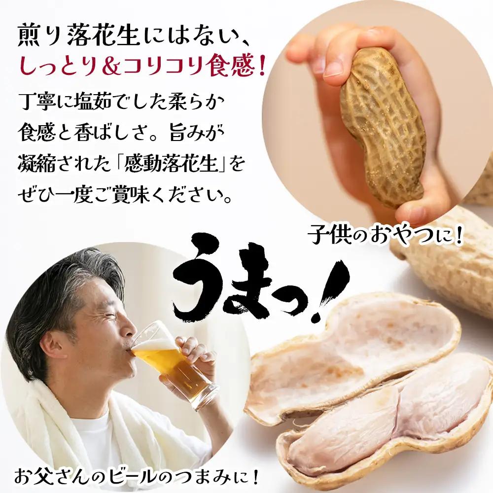 【先行予約 2026年9月下旬～順次発送】鹿児島県産 塩茹でジャンボ落花生（おおまさり） 300g×3パック 冷凍 FR-4 | 落花生 らっかせい ラッカセイ ピーナッツ 国産 最高級品種 おおまさ