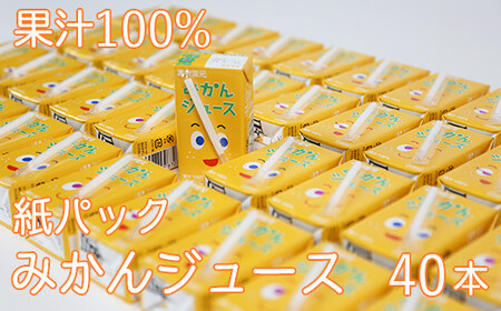 果汁100％ 紙パック みかんジュース 125ml×40本＜131-010＞