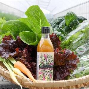 こだわり野菜の詰め合わせセット（お野菜に合うドレッシング付き）| 野菜 ドレッシング 兵庫県 上郡町