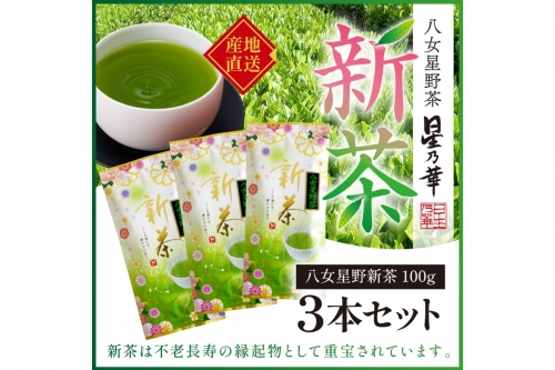 新茶 八女星野茶 100g 3本詰め＜先行予約＞【A2-132】