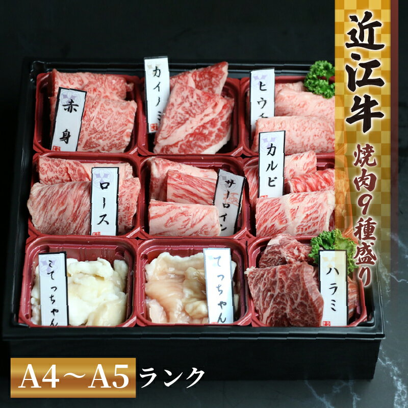 【ふるさと納税】 近江牛 赤身 焼肉 9種 盛り合わせ 360g 冷凍 近江牛 カルビ ロース ハラミ サーロイン 希少部位2種 黒毛和牛 ブランド和牛 牛肉 切り落し 贈り物 ギフト 国産 和牛 滋賀県 竜王町 神戸牛 松阪牛 に並ぶ 日本三大和牛 岡喜 スーパーセール お買い物マラソン