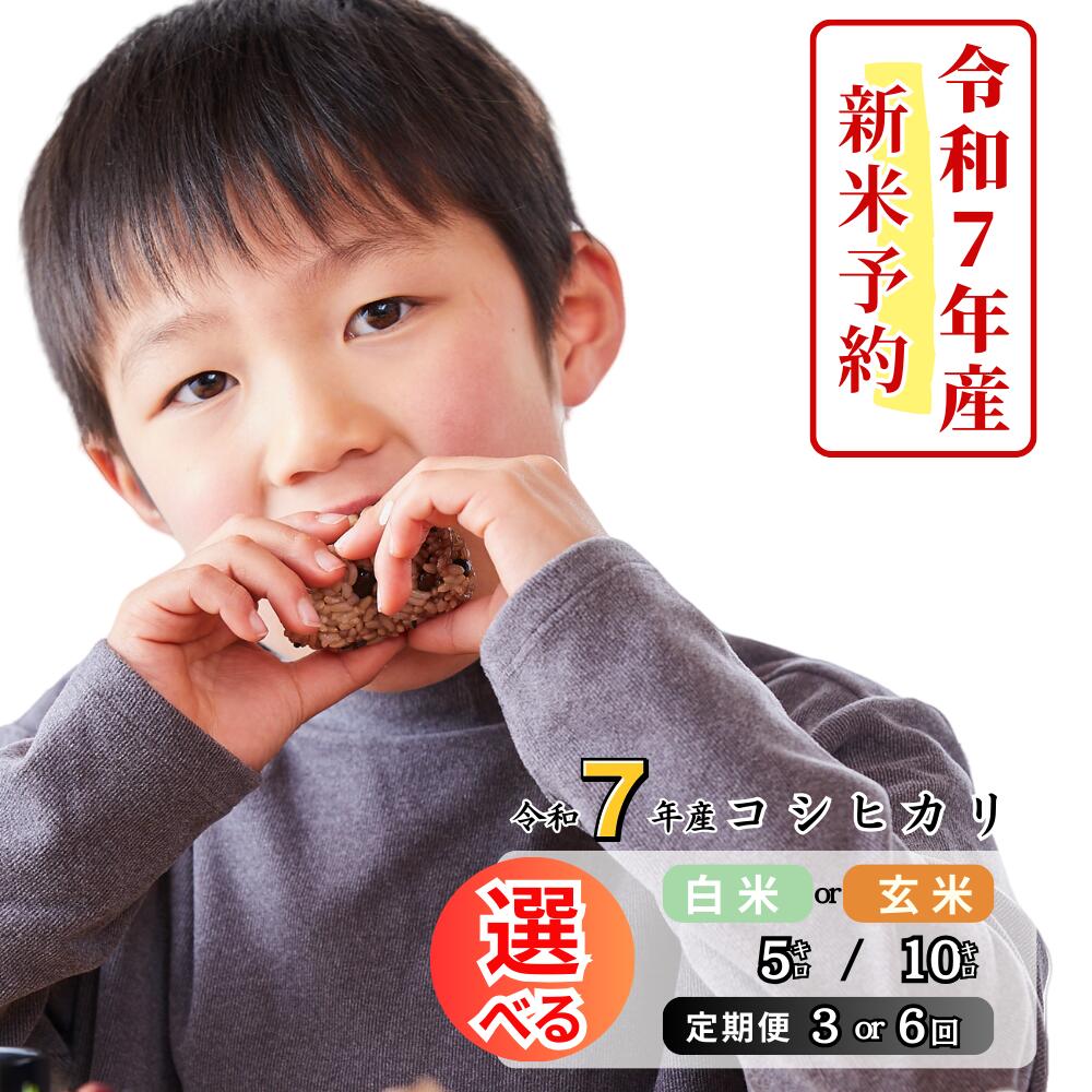 【ふるさと納税】《令和7年産新米予約・10月ごろよりお届け開始》令和7年産 コシヒカリ選べる 定期便 3回 6回 12回 白米 玄米 5kg 10kg 30kg 岡山 あわくら源流米 K-al-JECA