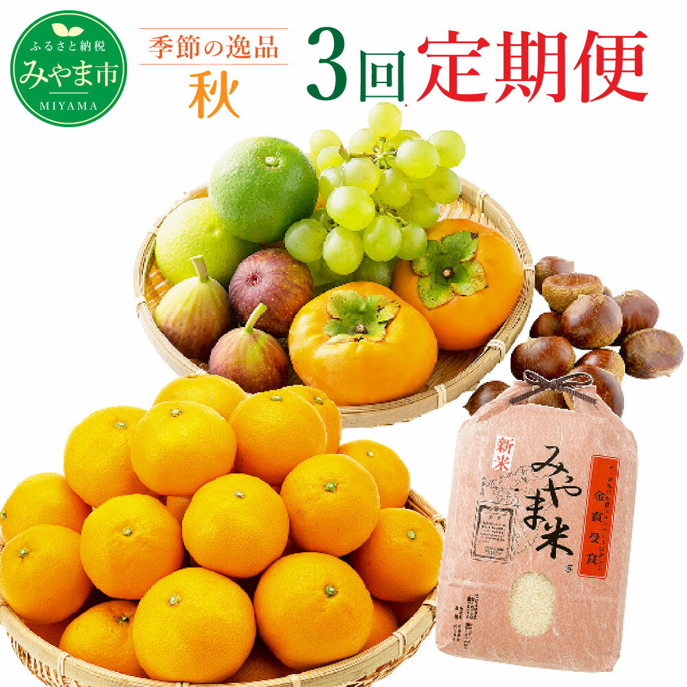 【ふるさと納税】C3 【3回定期便】季節の逸品 秋 計3回 フルーツ 野菜 葡萄 ぶどう マスカット 蜜柑 みかん ラスク 米 旬 セット 詰め合わせ 福岡県産 九州産 定期発送 定期便 送料無料