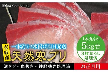 【11/1〜1/15お届け 年末年始用】天然 寒ブリ（5キロ台・3枚おろし） 《壱岐市》【壱岐島　玄海屋】[JBS023] ぶり 寒ぶり ブリ 魚 刺身 しゃぶしゃぶ 80000 80000 円 のし プレゼント ギフト 冷蔵配送 九州