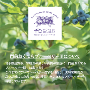 濃縮ジャムタイプ「そのままブルーベリー」 / 門前おくでらブルーベリー園 東北 岩手県 遠野市 砂糖不使用 ブルーベリー 100% 健康 美容 視力 朝食