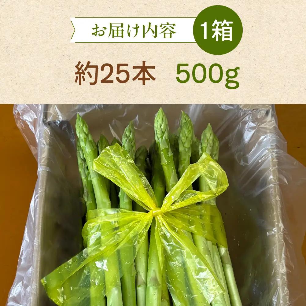 【期間限定】高級アスパラガス 隆至の龍 500g（約25本入り）レギュラーサイズ【119-3】
