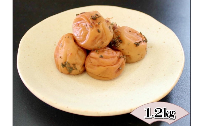 紀州南高梅　かつお梅　【yplu015B】