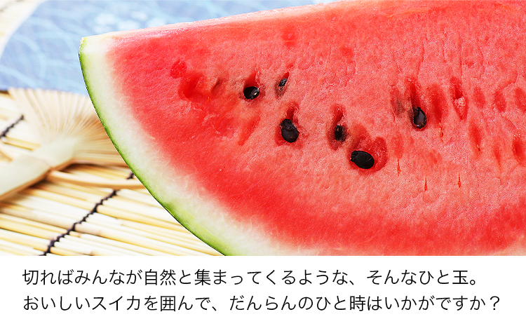 【先行予約】『きよたファーム』の黒小玉すいか2玉セット 1玉約2.5-4kg前後 『きよたファーム』《2026年7月上旬-8月中旬頃出荷》---sg_kfkodama_ae7_r7_13500_2p-