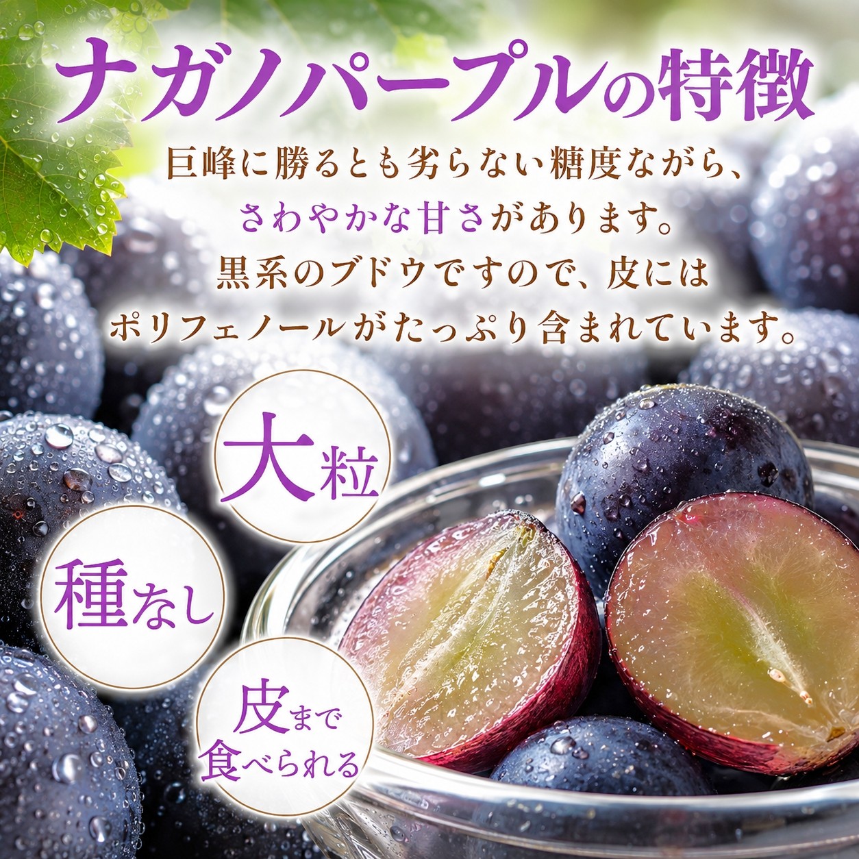 ※先行予約商品です。