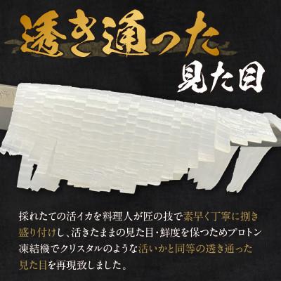 ふるさと納税 京丹後市 京丹後産『海の京都』の逸品!活白イカ姿造り(クリスタル白いか)中サイズ 1杯(200g前後) 冷凍 |  | 01