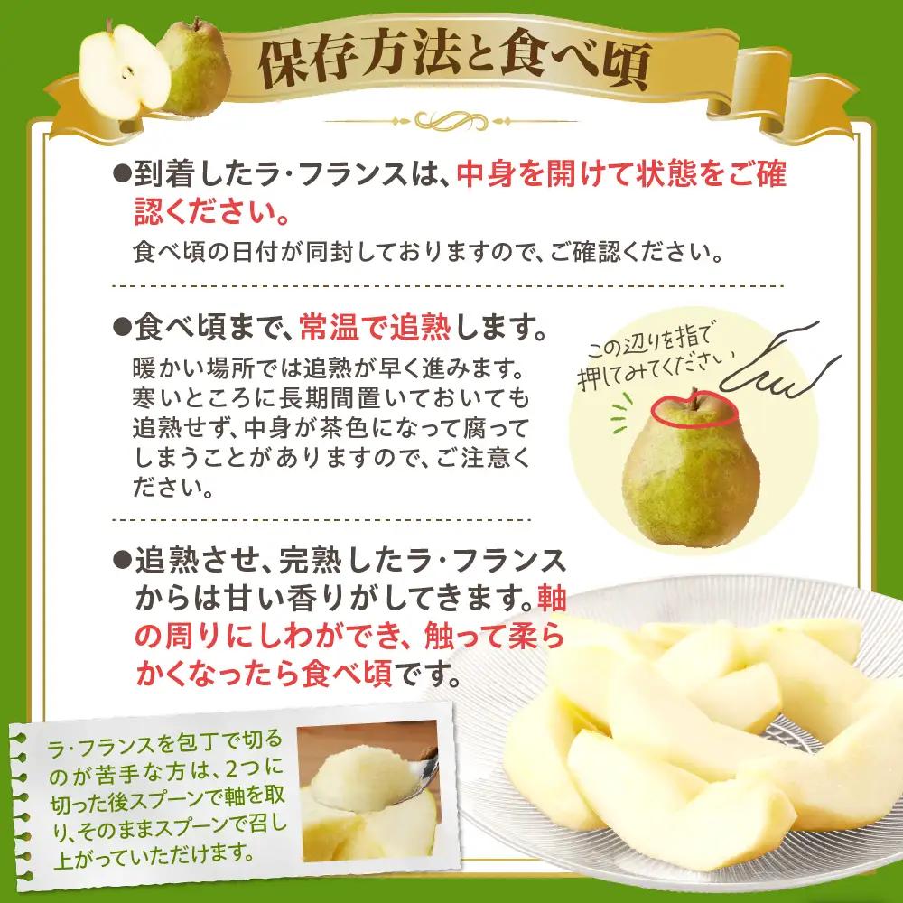 ラフランス 3kg 大玉 特秀品 贈答用 7玉~10玉 6L~3L 西洋梨 ラ・フランス フルーツ 果物 0055-2610