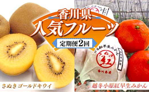 【人気フルーツ定期便A 2回】 《さぬきゴールドキウイからスタート》 さぬきゴールドキウイ 約1kg 越冬小原紅早生 約1kg キウイ キウイフルーツ みかん 柑橘 旬 果物 国産 香川県 フルーツ定期便 F5J-927