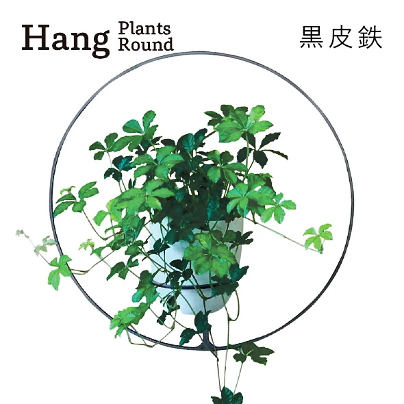 GRAVIRoN Hang Plants シリーズ Triangle/Diamond/Round セット 黒皮鉄（プランツハンガー） 観葉植物 プランター_イメージ4