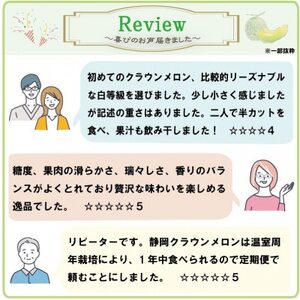 【毎月定期便】【訳あり品】クラウンメロン1玉・11ヵ月毎月お届け全11回【配送不可地域：離島・北海道・沖縄県】【4069592】