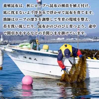 ふるさと納税 鹿部町 【北海道鹿部町産】養殖 白口浜真昆布 500g (100g×5) SS46-2 |  | 01