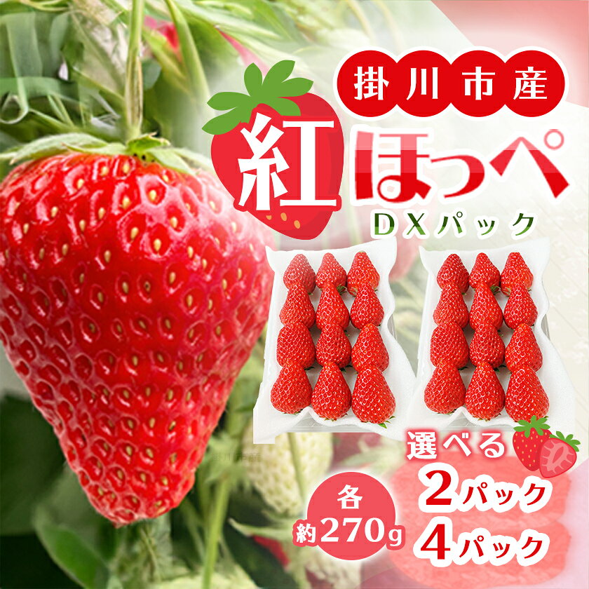 【ふるさと納税】【掛川市産いちご】紅ほっぺ DXパック(2パック入、4パック入)【配送不可地域：離島・北海道・沖縄県・四国・九州】【G1635330】