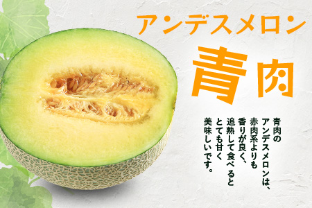【2026年5月上旬～発送】アンデス メロン 青肉 5玉 (合計 約4.5～5kg) 熊本県 多良木町産 果物 フルーツ メロン 先行予約 5個 青肉 ミツバチ交配 期間限定 数量限定 先行予約 10