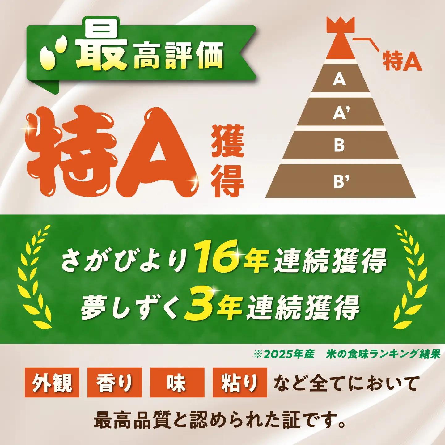 【4回定期便】 無洗米 毎月 5kg （さがびより・夢しずく交互お届け） 無洗米 お米 白米 精米 佐賀県産 米 /大塚米穀店[UFE020]