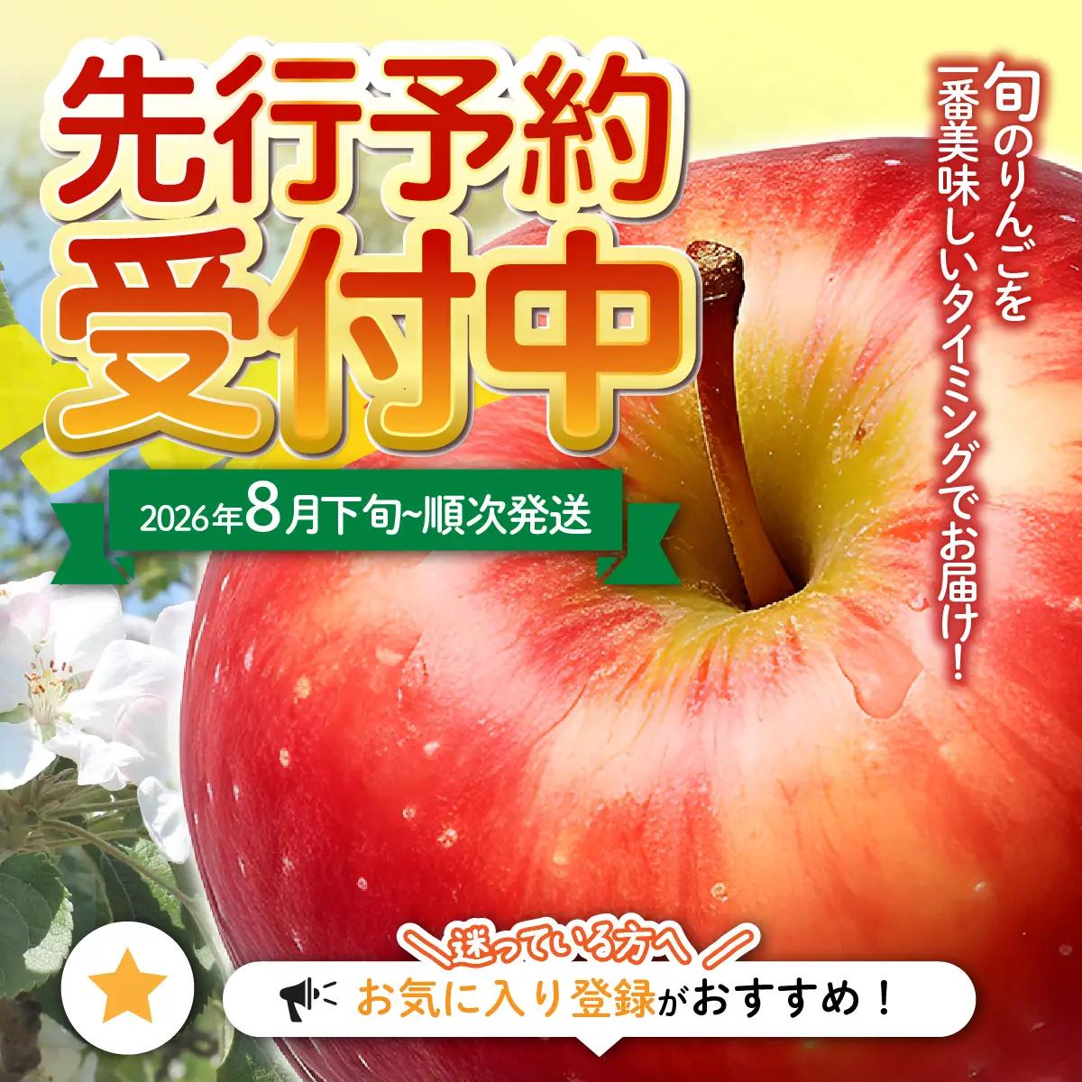 【先行予約】令和8年8月下旬頃より発送 北海道七飯町産 りんご 5kg 有機質肥料使用 NAR002