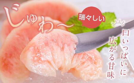 先行販売！【モモ】 白鳳　桃の王様！約2kg6～8個 【2025年6月下旬頃より順次発送】【秀品】こだわり農家厳選 【KG12】