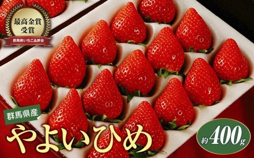 【2026年 先行予約】いちご やよいひめ 約400g 1シート【群馬県いちご品評会最高金賞受賞！】｜朝採れ やみつき高品質 たっぷり 贈答用 新鮮 完熟 いちご 旬 苺 ストロベリー 高級 大粒 産地直送 果汁 甘い あまい 人気 高評価 減農薬 有機肥料 高糖度 ごほうび プレゼント 群馬県 前橋市