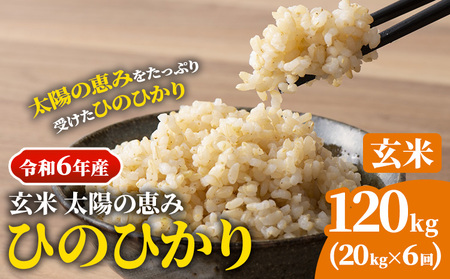 【令和6年産 予約受付】玄米 岡山県産 ひのひかり 笠岡産 120kg(20kg×6回)《10月下旬-9月下旬頃出荷》農事組合法人奥山営農組合 太陽の恵み