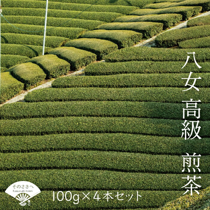 【ふるさと納税】 八女 煎茶 100g 4本 セット お茶 茶 アフタヌーンティー 茶 おやつ デザート のお供 リラックス ダイエット 飲料水 ジュース 福岡 川崎