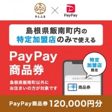 島根県飯南町　PayPay商品券(120,000円分)※地域内の一部の加盟店のみで利用可