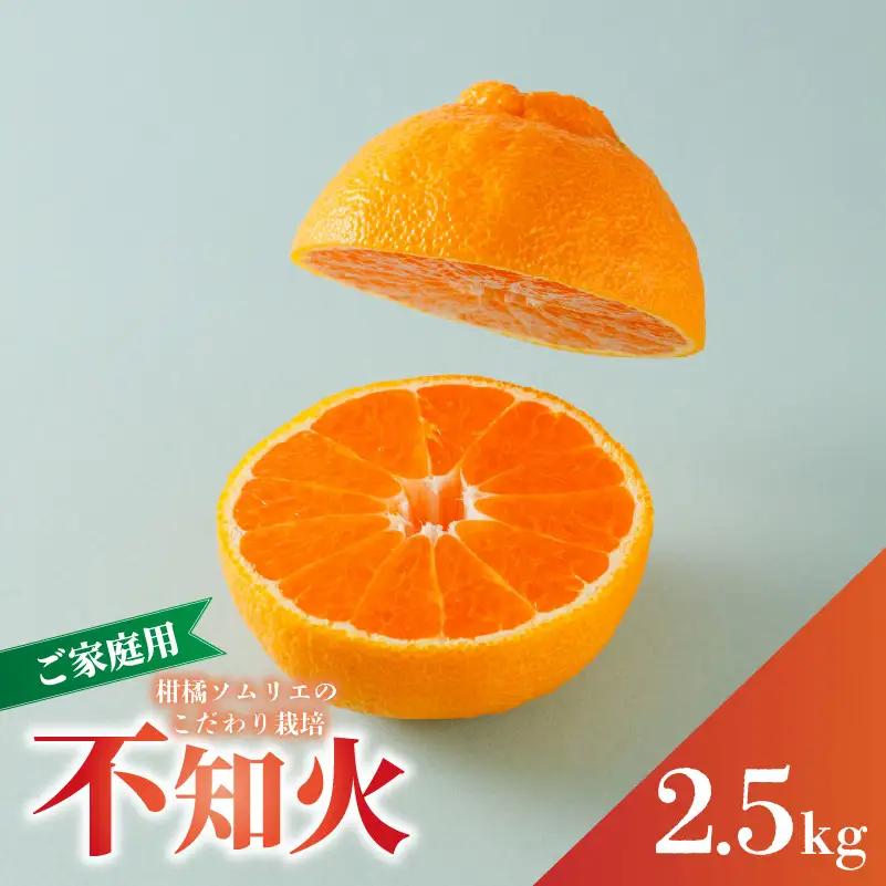 【2027年3月上旬頃から順次発送】【デコポン と同一品種】 不知火 B品 家庭用 2.5kg でこぽん【RNK0062】