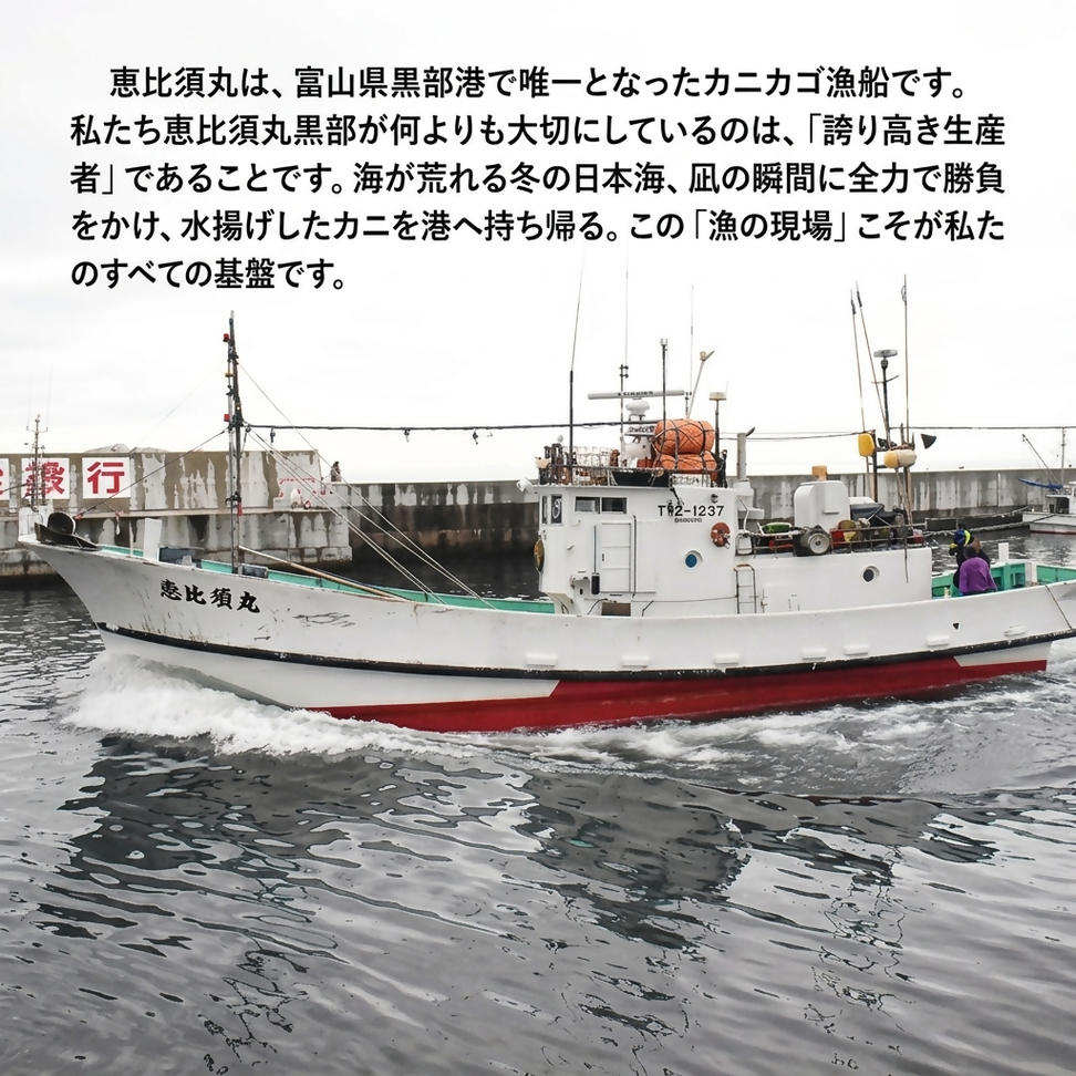 厳選! 高志の紅ガニ 富山湾産タグ付き特大紅ズワイガニ 1kg