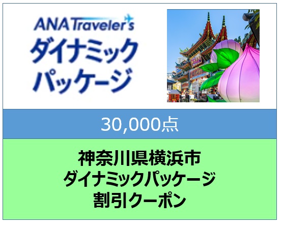 神奈川県横浜市ANAトラベラーズダイナミックパッケージ クーポン30,000点分