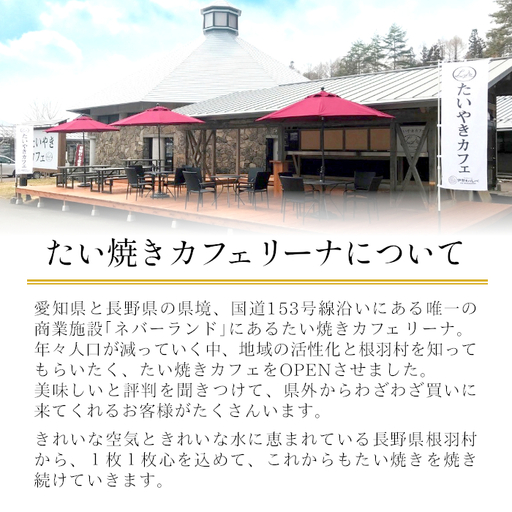 たい焼き ほど良い甘さのカスタード 8枚セット 個包装 和菓子 プリン 鯛焼き