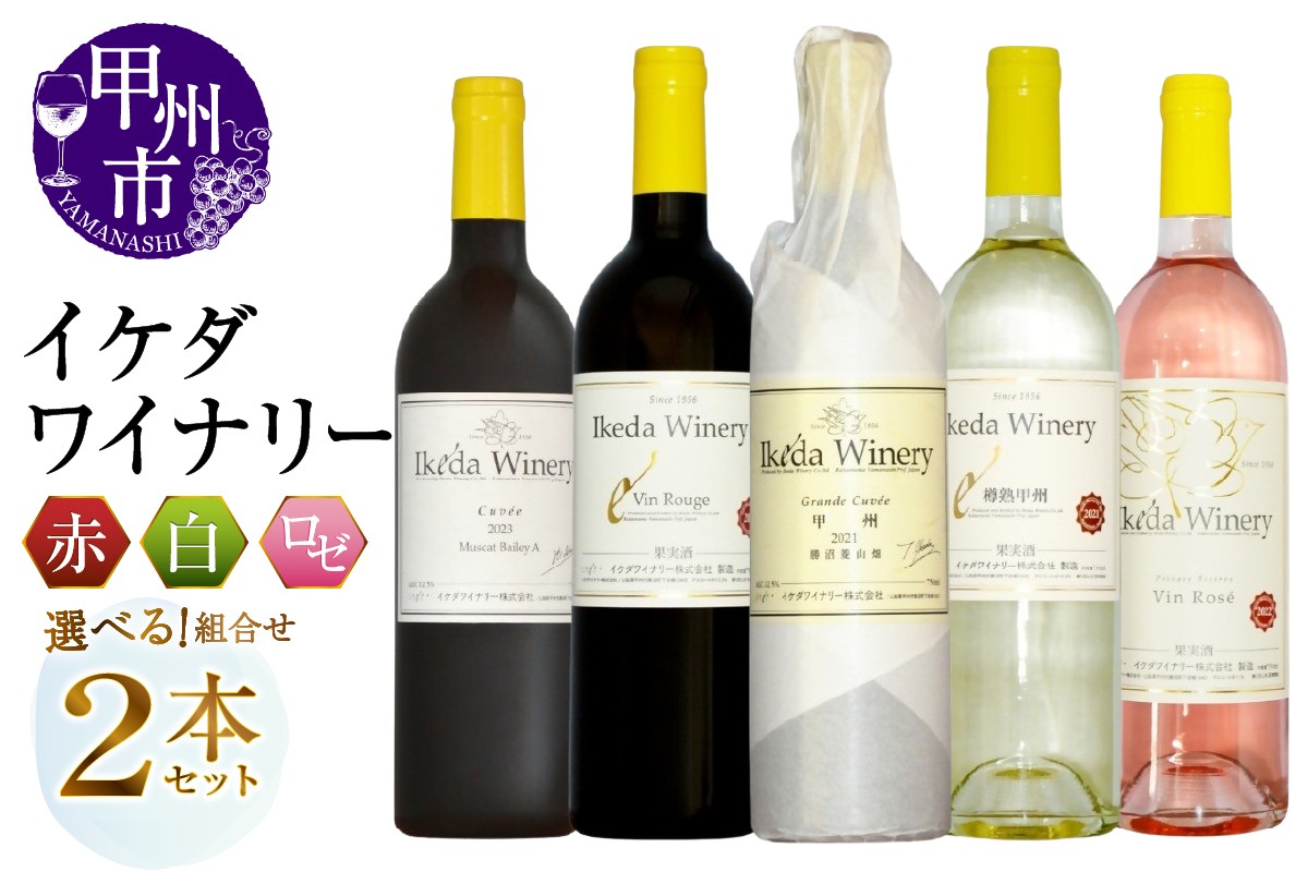 
                  【選べる組合せ】イケダワイナリー 2本セット【グラン・キュヴェ 甲州 / 樽熟甲州 / マスカットベリーA / ヴァン・ルージュ / ヴァン・ロゼ】（MG）【ワイン 赤ワイン 白ワイン ロゼワイン 甲州市 山梨県】
                