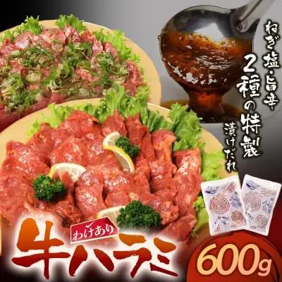 Z61-45 寄附額改定↓↓ 【訳あり】牛ハラミ肉2種(旨辛ダレ、ねぎ塩) 600g 牛肉