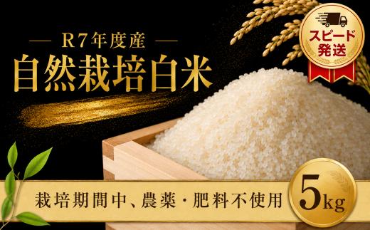 自然米 5kg 白米 自然栽培米 【スピード発送】 お米 オコメ おこめ こめ 米 コメ 精米 ごはん ご飯 食味 白飯 飯 ご飯 ライス 5キロ おむすび おにぎり ご褒美 美味しい こだわり グルメ 贅沢 贈答 取り寄せ お取り寄せ ギフト 国産 国産米 千葉米 令和7年産 R7年産 まこと屋 千葉県 香取市 MKT007_R7