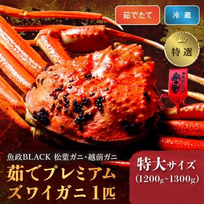 ふるさと納税 京丹後市 茹でたてプレミアムズワイガニ(松葉・越前)魚政BLACK特撰 特大サイズ 1匹(1月〜3月発送)