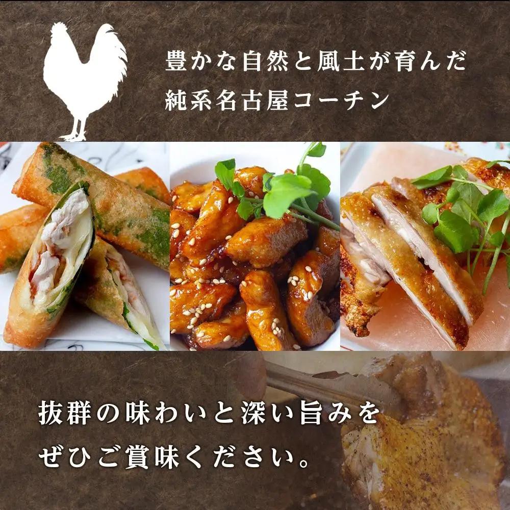 純系名古屋コーチン　豪華鶏肉セット 地鶏
