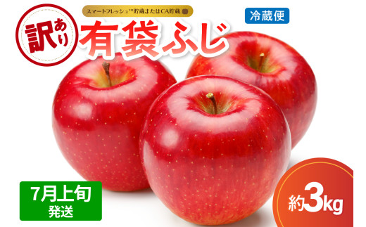 【2026年7月上旬発送】【訳あり】 りんご 有袋ふじ 3kg ( スマートフレッシュTM貯蔵 又は CA貯蔵 ・ クール便 ) 5月 6月 7月
