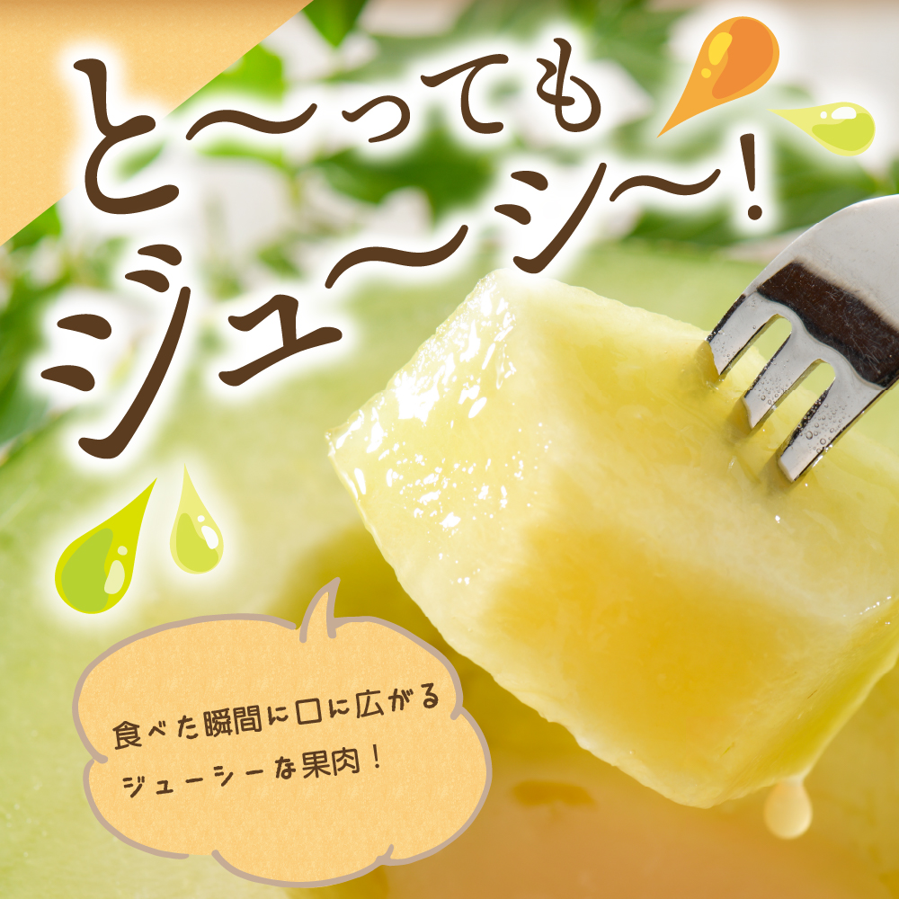 【2026年先行予約】メロン 約 5kg 秀～優 ( 青肉 3～6玉 ）【2026年8月前半発送】【 津軽産 青森 緑肉 青肉メロン 】