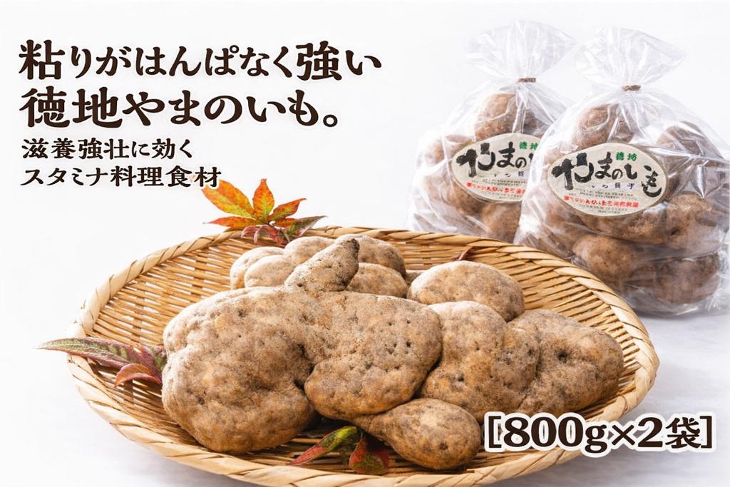 
                  D537 徳地やまのいも800g袋(ご家庭用)×2袋
                
