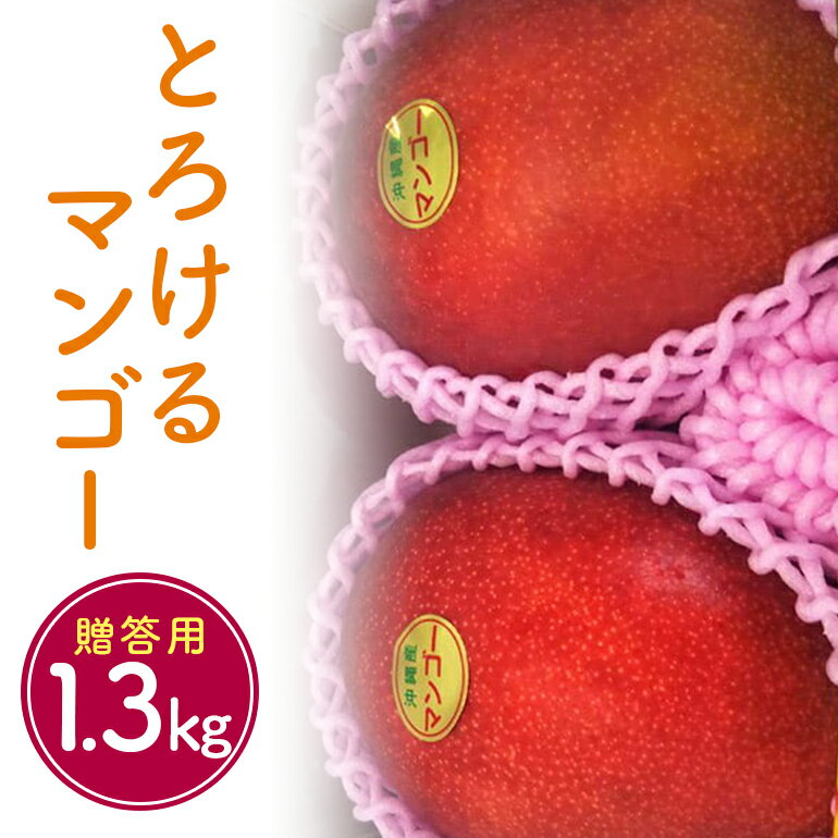【ふるさと納税】【 先行予約 2025年 発送 】 かねよしマンゴーの甘くとろける マンゴー 1.3kg ( 大玉 650g 以上 )( 贈答用 ) アップルマンゴー フルーツ 果物 ギフト 沖縄県産 国産 完熟マンゴー くだもの ギフト 贈答品 贈り物 産地直送 農家直送 糸満市 送料無料