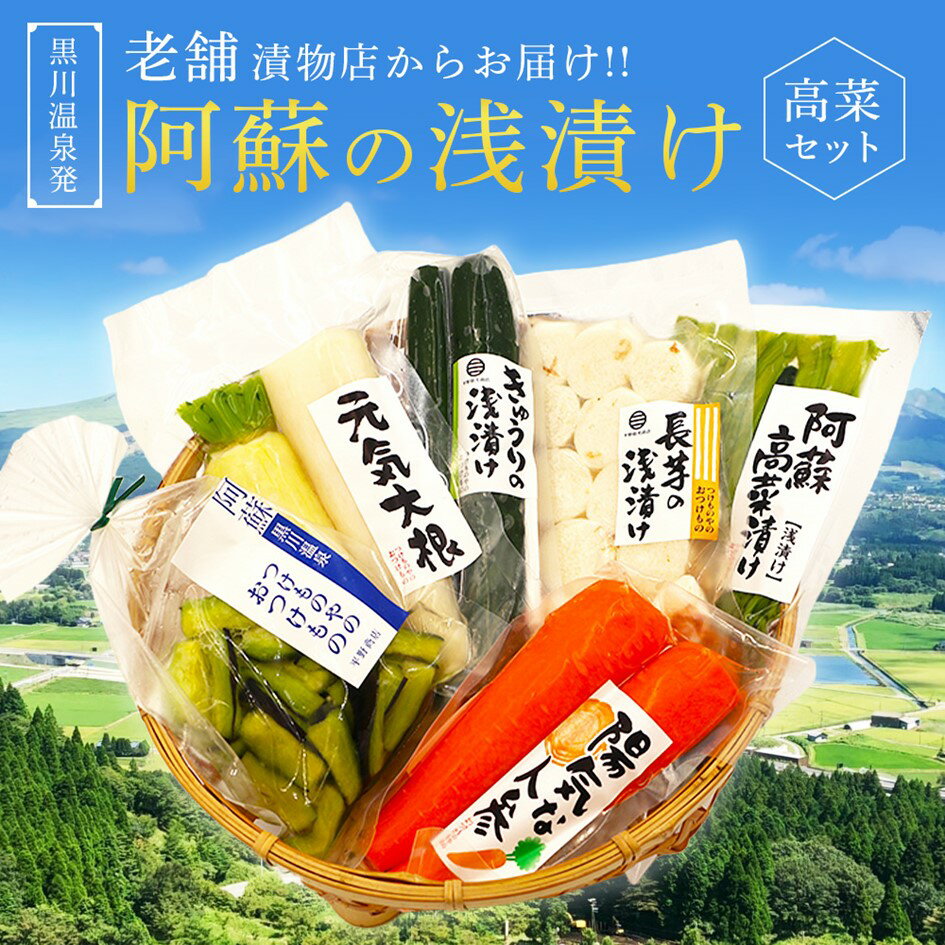 【ふるさと納税】 浅漬け バラエティ セット 6種 大根 胡瓜 きゅうり 茄子 ナス 長芋 人参 阿蘇高菜 高菜漬け 高菜 漬物 高菜漬物 お取り寄せ ギフト 贈答用 黒川温泉 平野商店 九州 熊本 阿蘇 南小国町 送料無料