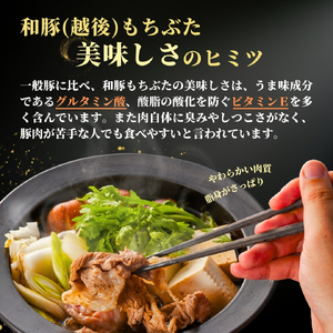 豚肉 すき焼き 豚肩ロース 1kg(500g×2パック) 越後もちぶた | 豚肉 ロース肉 新潟県 弥彦村