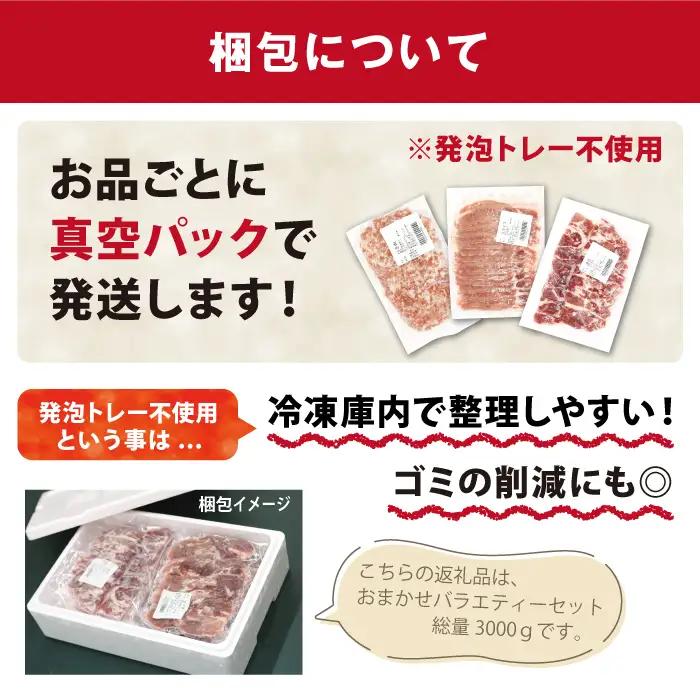 国産 四元豚 ハンバーグ 150g×5個｜ 小分け 真空パック 「ありすぽーく」