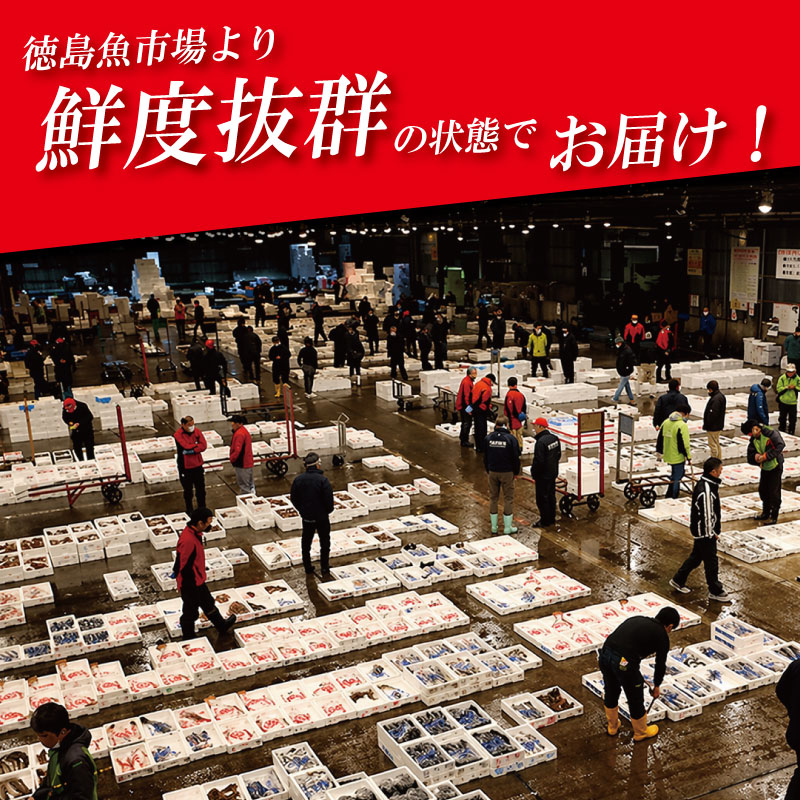 お刺身セット 4種 《 徳島魚市場 厳選！》 刺身 さしみ 刺し身 刺身セット ブリ すだちぶり ハマチ さば 鳴門鯛 真鯛 マダイ ヒラメ 阿波さつき サーモン 柵 カルパッチョ 海鮮 徳島