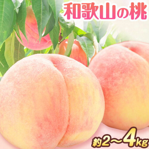 【ふるさと納税】和歌山の 桃 秀選品 約 2kg 約 4kg 厳選館【配送不可地域あり】《2025年6月末-8月下旬より発送予定》玉数優先 / 秀品 和歌山県 日高町 果物 フルーツ 桃 もも 送料無料