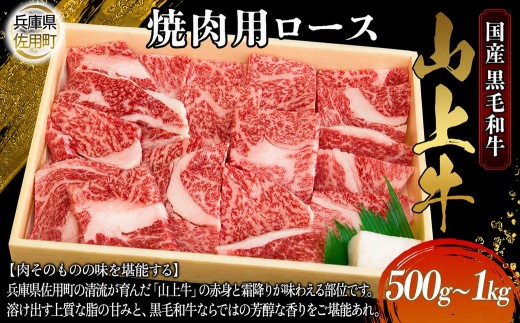 
                  【牧場直売店】兵庫県産黒毛和牛 焼肉用ロース 500g 1kg 牛肉 国産牛 山上牛
                