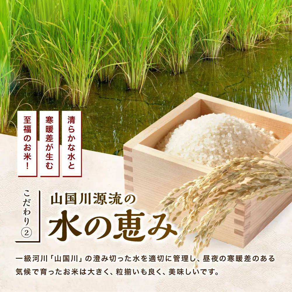 【寄附使途限定】【定期便9回】大分県中津市産 やまくに誉（ほまれ）やまくに誉 にこまる 10kg ( 5kg × 2袋 ) | お米 白米 精米 うるち米 単一米 ご飯 産地直送 ブランド米 国産米 